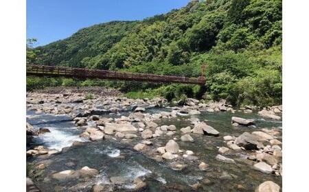 安田川漁協 鮎年間遊漁券 釣り チケット 年間遊漁券 鮎釣り 安田川漁協 年間パス 高知県 安田町 天然 鮎 アマゴ ウナギ 魚 フィッシング ルアー 渓流 アウトドア YG-01