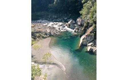 安田川漁協 鮎年間遊漁券 釣り チケット 年間遊漁券 鮎釣り 安田川漁協 年間パス 高知県 安田町 天然 鮎 アマゴ ウナギ 魚 フィッシング ルアー 渓流 アウトドア YG-01