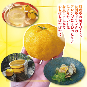 万能ゆず玉 高知県安田町 | TR-26