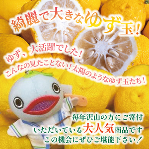 万能ゆず玉 高知県安田町 | TR-26