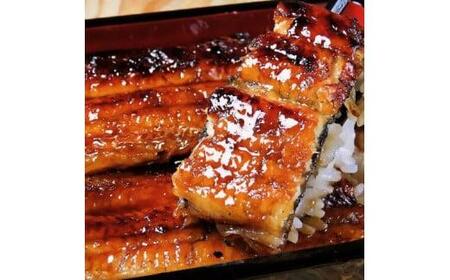 国産 うなぎ蒲焼き 300g ２匹 海鮮 | TR-08