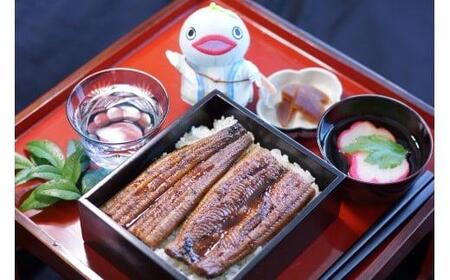 国産 うなぎ蒲焼き 300g ２匹 海鮮 | TR-08