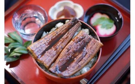 国産 うなぎ蒲焼き 300g ２匹 海鮮 | TR-08