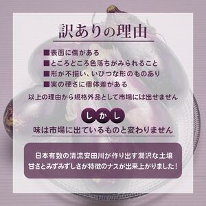 【3月から順次発送】安田町産 「超」 訳あり ナス なす 1kg  新鮮 野菜 茄子 産地直送 季節限定 夏野菜 ナス 訳あり TR-0010