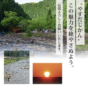 【3月から順次発送】安田町産 「超」 訳あり ナス なす 1kg  新鮮 野菜 茄子 産地直送 季節限定 夏野菜 ナス 訳あり TR-0010