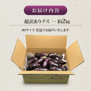 【3月発送】安田町産 「超」 訳あり ナス なす 2kg  新鮮 野菜 TR-0011