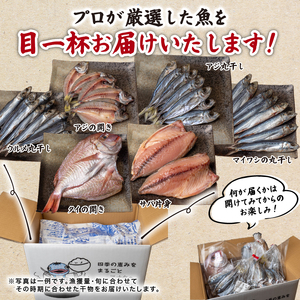 【 訳あり】 干物セット  2～4種 500g  極上 詰め合わせ  無添加 海鮮セット | 高知 安田町 HM-0001