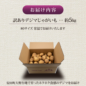 【訳ありじゃがいも】 【先行予約】 春デジマ 5kg YK-0012