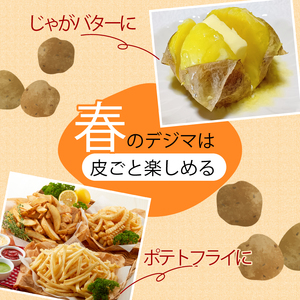 《先行予約》 じゃがいも 秀品 春デジマ 10㎏ YK-0011