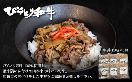 【12/24まで年内発送】びらとり和牛牛丼120g6個 BRTB033