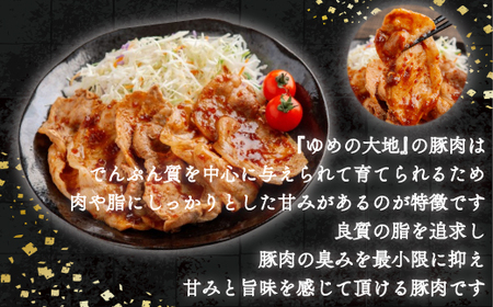 【12/20まで年内発送】【平取町産四元豚】ゆめの大地豚ローススライス200g×10パック計2ｋｇ BRTD004