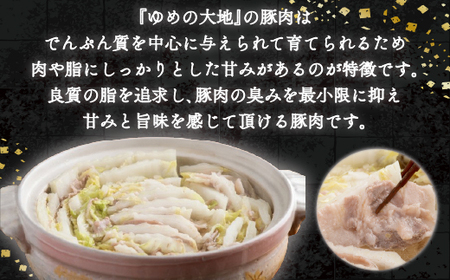 【12/20まで年内発送】【平取町産四元豚】ゆめの大地豚バラスライス 200g×5パック計1kg BRTD008
