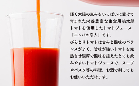 完熟生食用トマトの旨味たっぷり！“贅沢濃厚”「ニシパの恋人」トマトジュース無塩　1L×6本【 ふるさと納税 人気 おすすめ ランキング トマトジュース トマト とまと 健康 美容 飲みやすい 北海道 平取町 送料無料 】 BRTH029