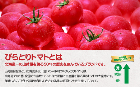 【先行予約/2026年6月以降発送】【家庭用】ニシパの恋人「びらとりトマト」秀品 1箱 約4kg（20～24個 満詰め） BRTO001