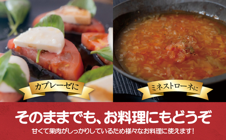 【先行予約/2026年6月以降発送】【家庭用】ニシパの恋人「びらとりトマト」秀品 1箱 約4kg（20～24個 満詰め） BRTO001