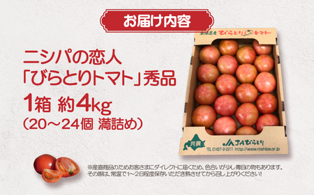 【先行予約/2026年6月以降発送】【家庭用】ニシパの恋人「びらとりトマト」秀品 1箱 約4kg（20～24個 満詰め） BRTO001