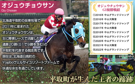 【オジュウチョウサン】Tシャツ _Sサイズ(ヘイジーブラック) BRTV004-1