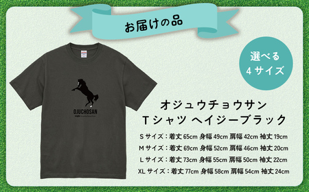 【オジュウチョウサン】Tシャツ _Sサイズ(ヘイジーブラック) BRTV004-1
