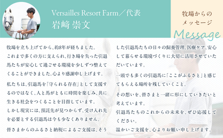 【1万円コース 返礼品無し】より多くの引退馬の幸せな余生を願う　Yogiboヴェルサイユリゾートファーム BRTV024-03