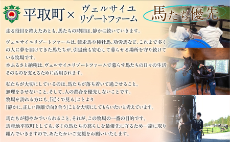 【1万円コース 返礼品無し】より多くの引退馬の幸せな余生を願う　Yogiboヴェルサイユリゾートファーム BRTV024-03