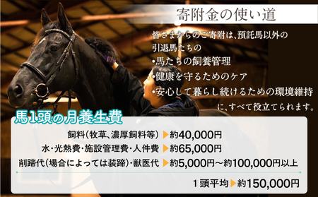 【1億円コース 返礼品無し】より多くの引退馬の幸せな余生を願う　Yogiboヴェルサイユリゾートファーム BRTV024-08