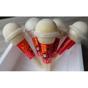 慎太郎アイスクリンコーン10個【配送不可地域：離島】【1508081】