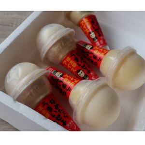 慎太郎アイスクリンコーン10個【配送不可地域：離島】【1508081】