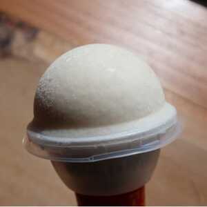 慎太郎アイスクリンコーン10個【配送不可地域：離島】【1508081】