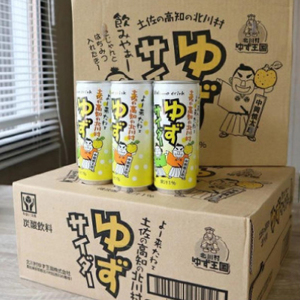 ゆずサイダー16本【北川村ゆず王国】【1511971】