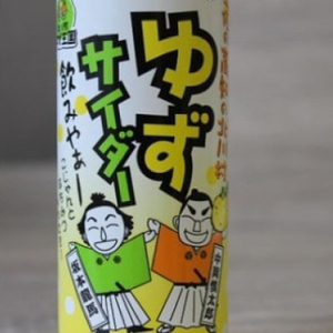 ゆずサイダー16本【北川村ゆず王国】【1511971】