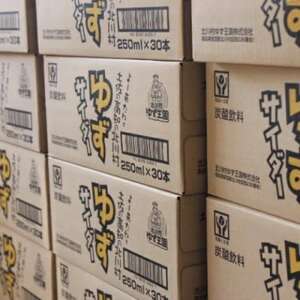 ゆずサイダー16本【北川村ゆず王国】【1511971】