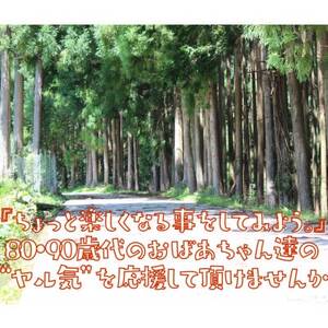 「いこいの里」のスウェーデントーチ　1本【1517809】