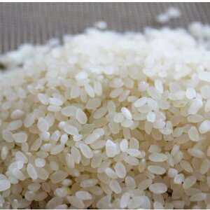 北川村の米〈維新の風〉[5kg×1袋]【1521005】