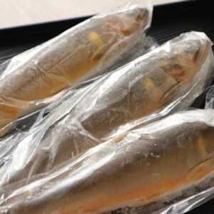 【令和8年6月より発送】天然あゆ　6匹【配送不可地域：離島】【1570536】