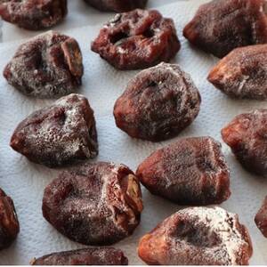 ゆずの郷の村人が作る『干し柿』500g【1511957】