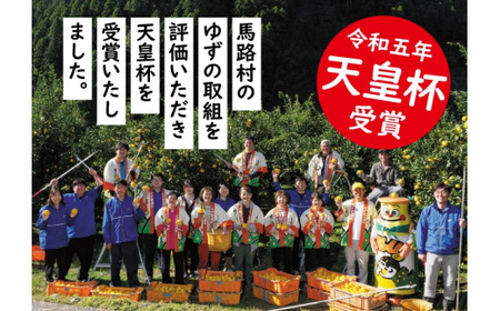 馬路ずしの素スティックタイプ/18ml×30袋セット  寿司酢