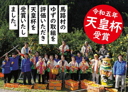 柚子皮のお菓子 ゆずグラッセ/35g×10個入 おやつ