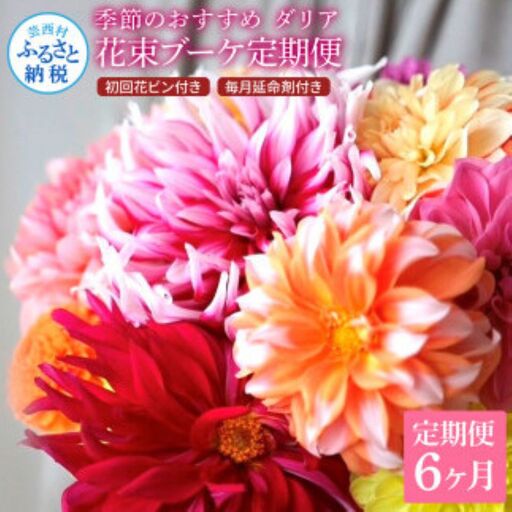 《6ヵ月定期便》 ダリア 花束 初回花瓶付 延命剤付き