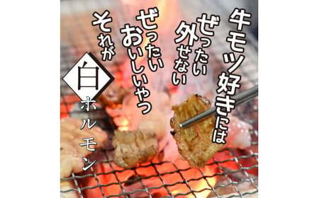 白ホルモン天下味オリジナル塩ダレ漬け