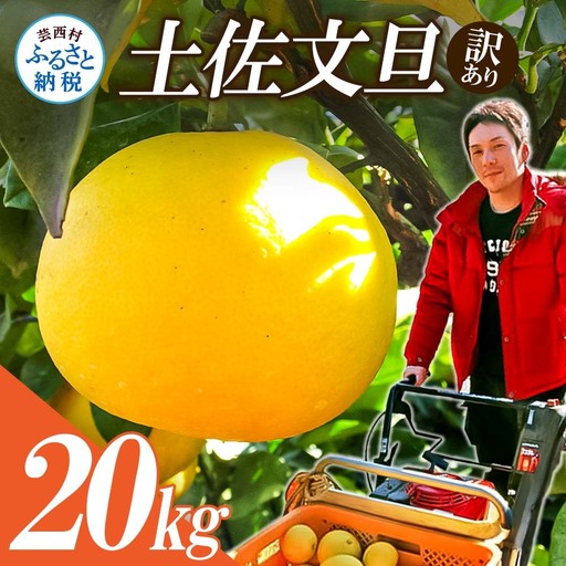 【先行予約】高知県産　訳あり土佐文旦20kg