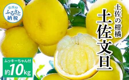 土佐文旦１０㎏詰め合わせ　 ムッキーちゃん(皮むき機)付き 6,930円