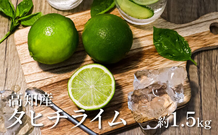 タヒチライム 約1.5kg ライム 国産 種なし 柑橘類 かんきつ類 防腐剤不使用 ノーワックス 新鮮 冷蔵 家庭用 果物 くだもの フルーツ 芸西村 高知県産