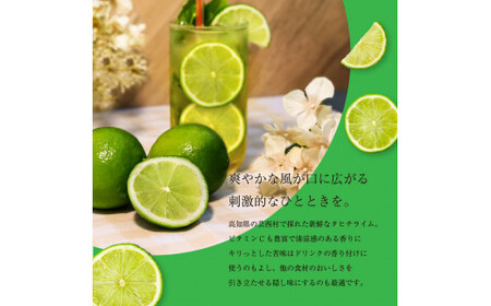 タヒチライム 約1.5kg ライム 国産 種なし 柑橘類 かんきつ類 防腐剤不使用 ノーワックス 新鮮 冷蔵 家庭用 果物 くだもの フルーツ 芸西村 高知県産