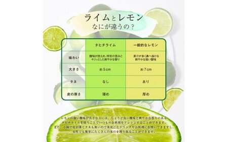 タヒチライム 約1.5kg ライム 国産 種なし 柑橘類 かんきつ類 防腐剤不使用 ノーワックス 新鮮 冷蔵 家庭用 果物 くだもの フルーツ 芸西村 高知県産