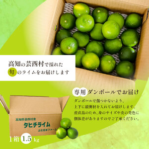 タヒチライム 約1.5kg ライム 国産 種なし 柑橘類 かんきつ類 防腐剤不使用 ノーワックス 新鮮 冷蔵 家庭用 果物 くだもの フルーツ 芸西村 高知県産