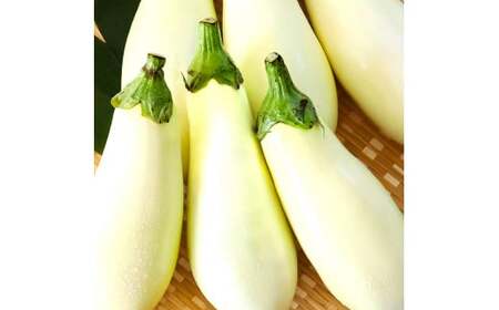 先行予約 白ナス6本