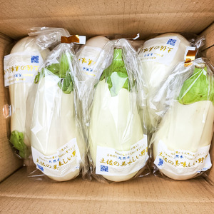 先行予約 白ナス6本