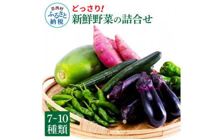 【先行予約】どっさり！新鮮野菜の詰合せ 7～10種類 