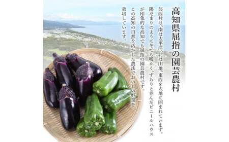 【先行予約】どっさり！新鮮野菜の詰合せ 7～10種類 