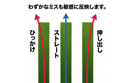 パターマット工房 タッチがわかるパット練習レール 2枚セット(標準・高速) 7cm×200cm